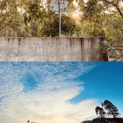 花果山姚姚土窯雞場張用戶圖片