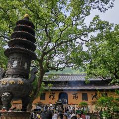 松沪名灶(佘山旅游景区店) User Photo