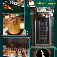 Haiiro Usagi User Photo
