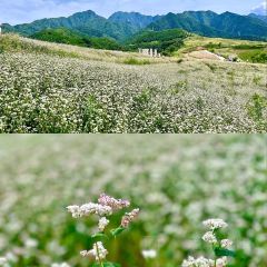 山水玉舍(蓝田店) User Photo