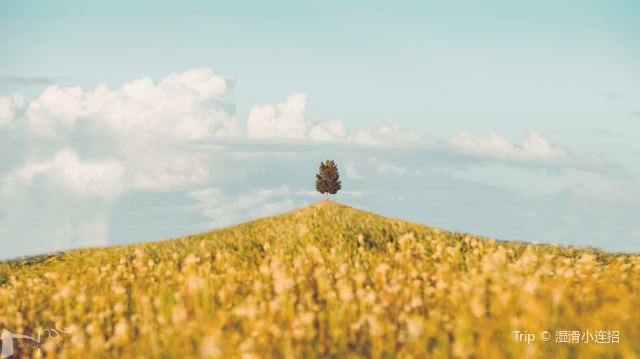 VAL D’ORCIA