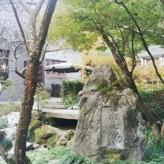 Dixin Pool 여행 사진
