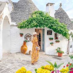 L'Aratro User Photo