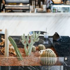ONEWAY COFFEE User Photo