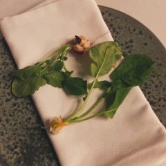 Kokkeriet User Photo