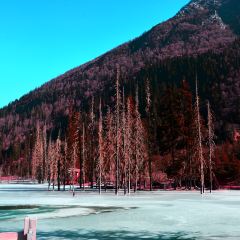 四姑娘山阿巴郎·藏式花园餐厅 User Photo