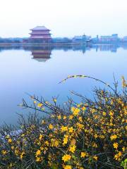 Yuqiu Lake