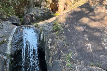 佳佳农庄(南昆山观音潭店)