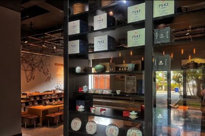 大益茶庭(勐海会员中心店)