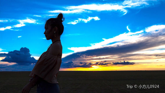 Hometown of Dinosaurs, Erenhot