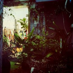 蔓延咖啡 User Photo