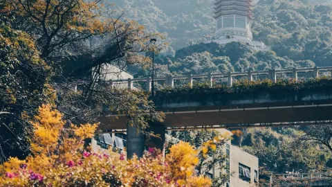Hongfa Temple attraction in Shenzhen