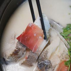 邵记渔码头·品味农家菜(绿城店) User Photo