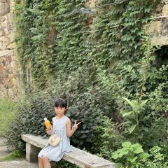 玉环心海山居 User Photo