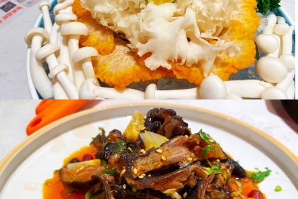 Ye yan · fa lang guo ye zi ji (min jie guang chang dian)