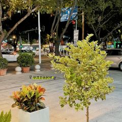 粒上皇（惠州東湖西路店）張用戶圖片