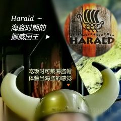 Viikinkiravintola Harald張用戶圖片