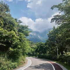 泰·咖啡 User Photo