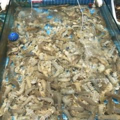 大锅强海鲜(城市阳台店) User Photo
