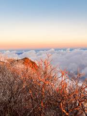 Mt. Ishizuchi