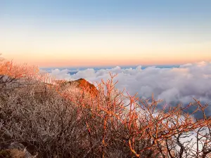 Mount Ishizuchi