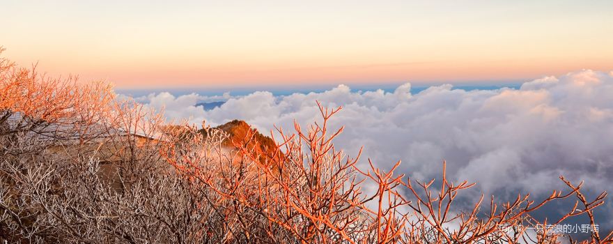 Mount Ishizuchi