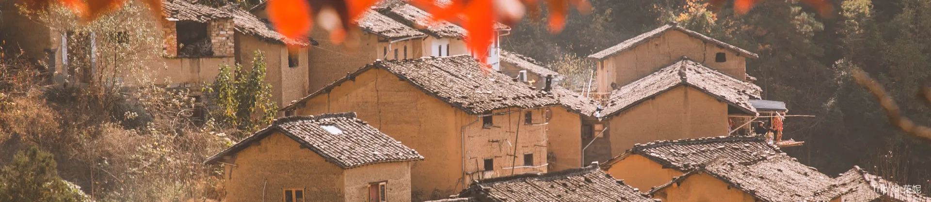 Attrazioni per la visione autunnale