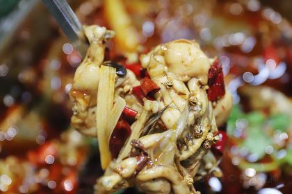 味之绝美蛙鱼头火锅(昭通一店)