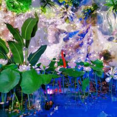 小柴湖張用戶圖片