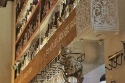 啪啪不只是一家串店(大厂店)