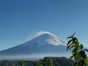 忍野八海池本