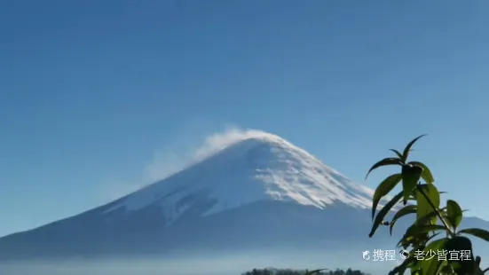 忍野八海池本