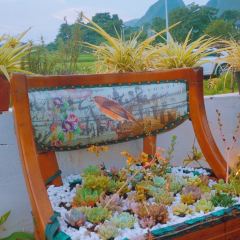 花田小坐張用戶圖片