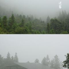 巴谷宿集 User Photo