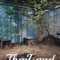 TANGIBLE BANGKOK User Photo