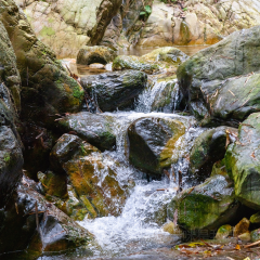 融創由心谷·知味由心餐廳張用戶圖片