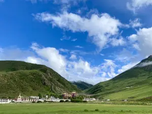 Batang Grassland