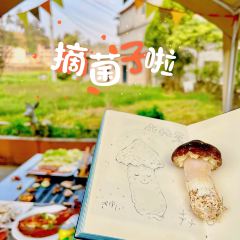 菌小妹庭院私廚張用戶圖片