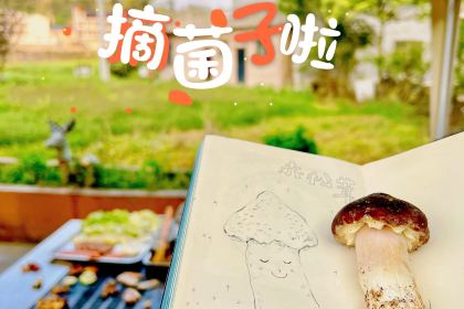 菌小妹庭院私廚