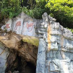 土王府 User Photo
