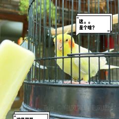 古堰名小吃·文庙面馆 User Photo