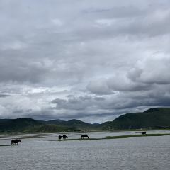 Xueyucangjia Hot Pot (zong) 여행 사진