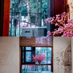 南湖小院（南灣店）張用戶圖片