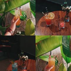 iii Leisure 여행 사진
