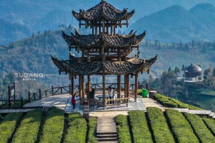 伍家台贡茶(兴隆大道店)