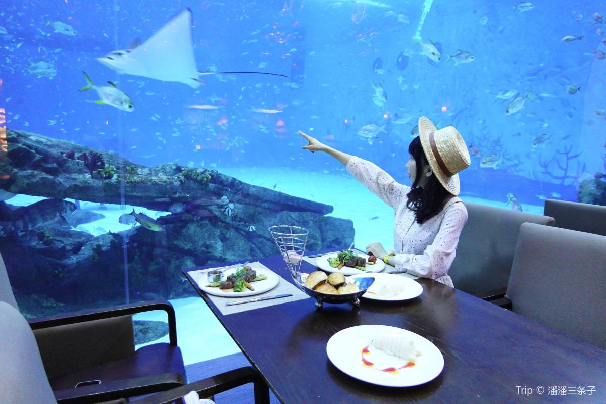 上海海昌海洋公園内のおすすめレストラン3選