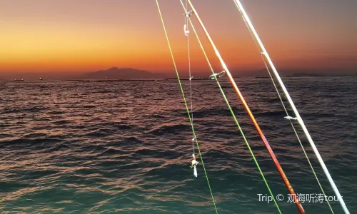 惠州海釣