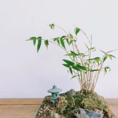 个园私厨 User Photo