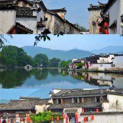 健忠灵山酒酿 User Photo