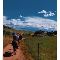 乔家满族八大碗(流水沟店) User Photo